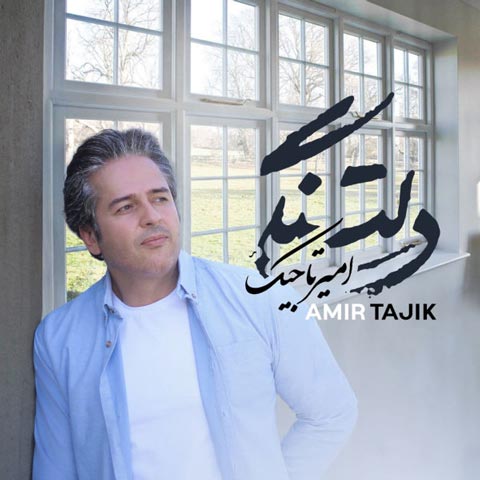 دانلود آهنگ امیر تاجیک به نام دلتنگی
